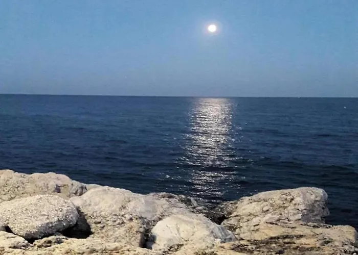 In Malaga Near Bajondillo * Torremolinos