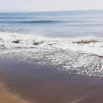 In Malaga Near Bajondillo * توريمولينوس